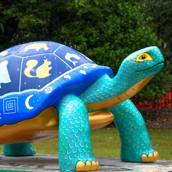 tortoise sculpture