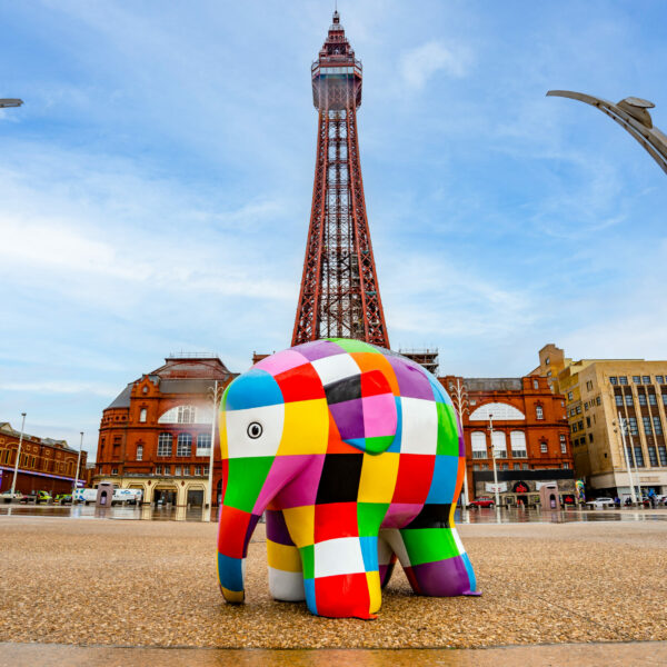 Elmer at Blackpool Tower