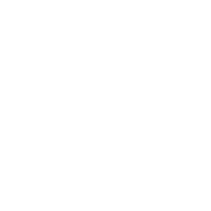 Bear with sunglasses icon