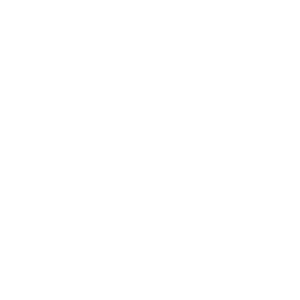 Happy person icon